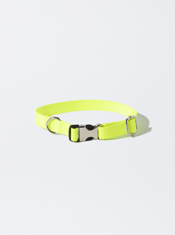 Coleira Com Lenço Personalizável, Multicor, hi-res