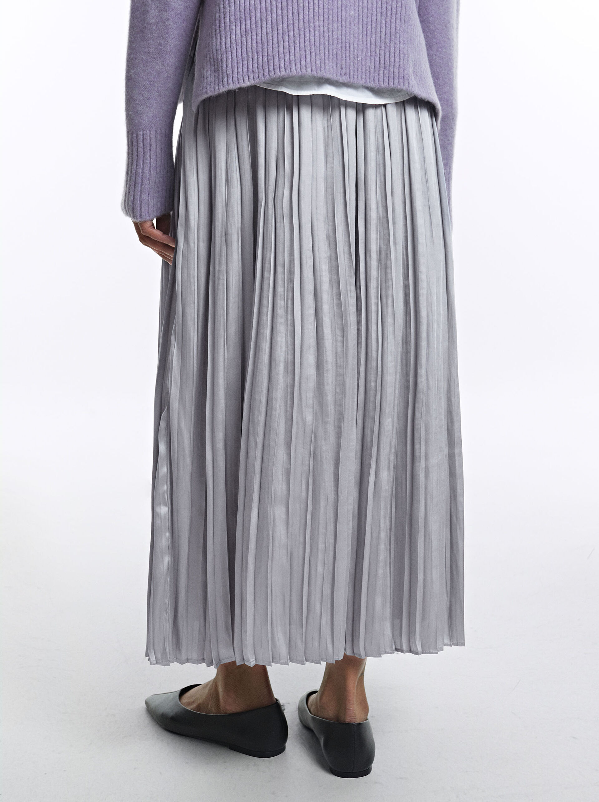 Long Pleated Skirt image number 3.0