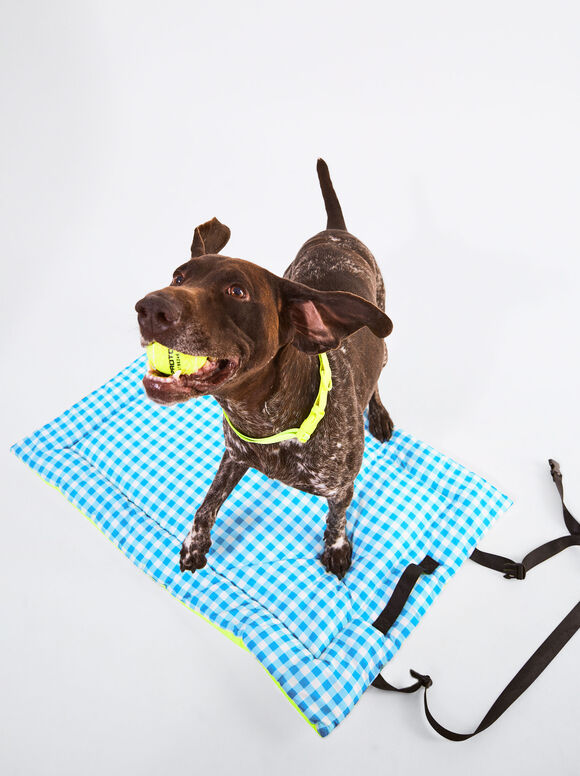 Personalised Dog Bed, Blue, hi-res