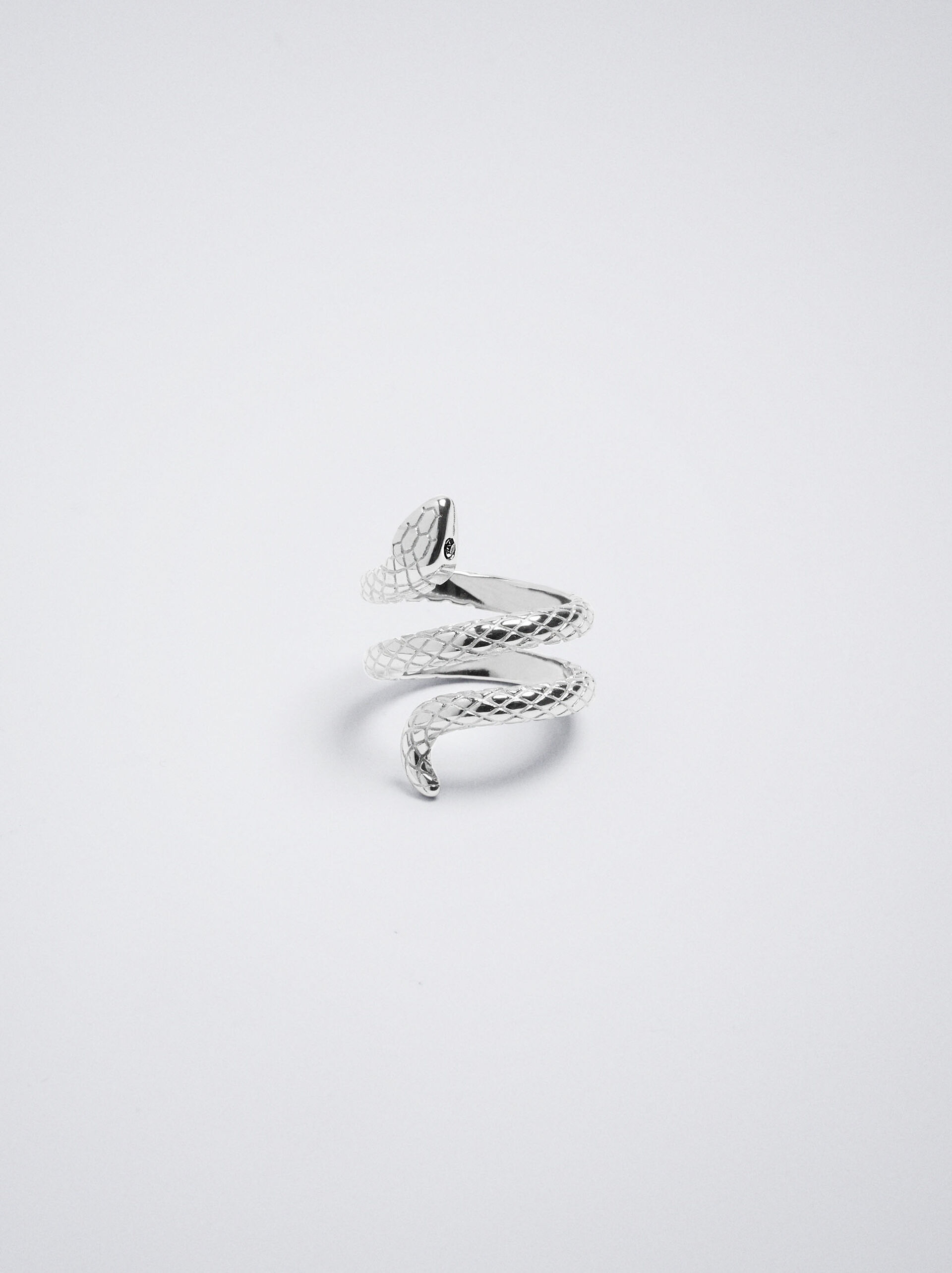Stainless Steel Ring With Snake image number 1.0