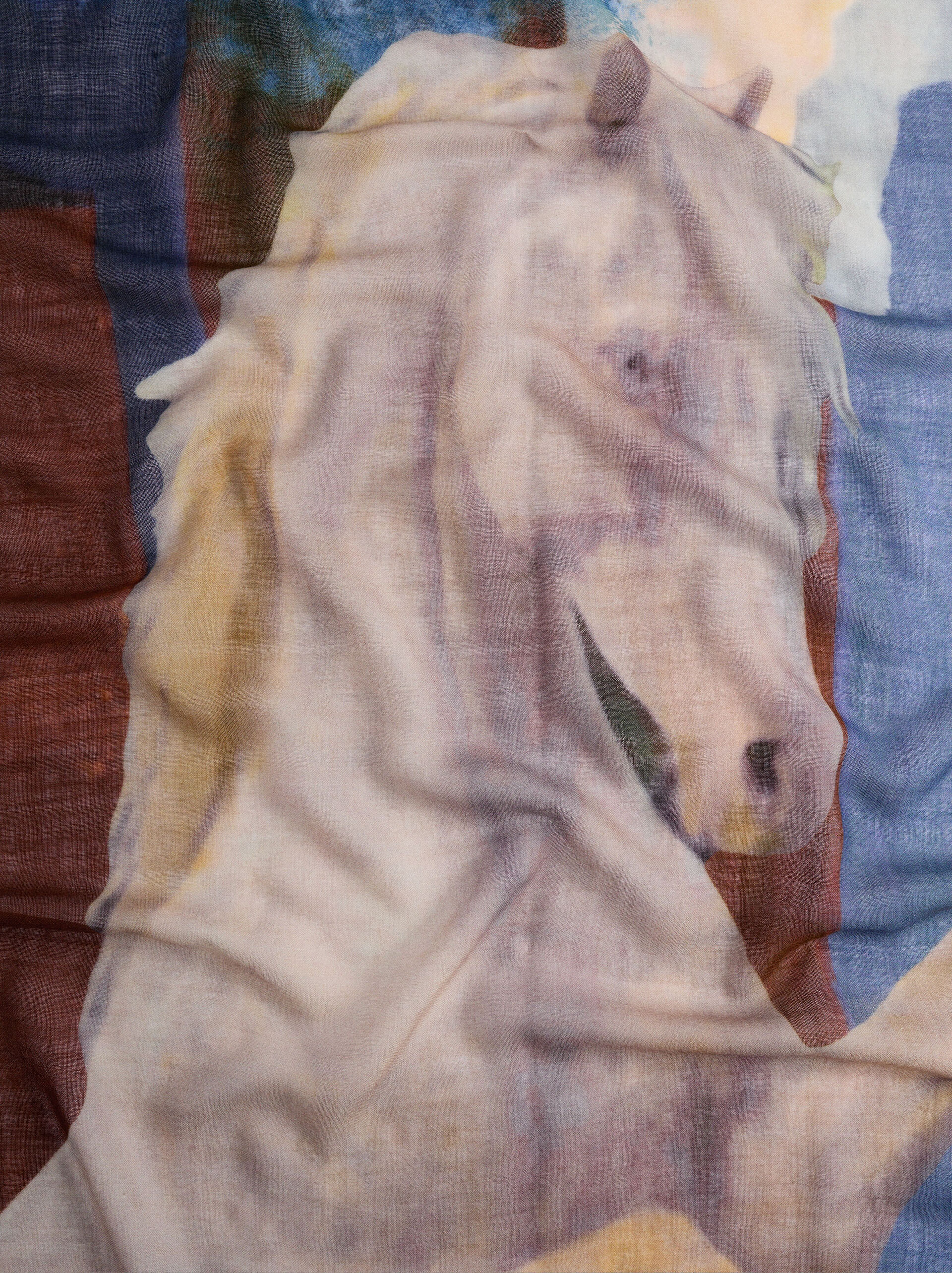 Printed scarf with wool image number 1.0