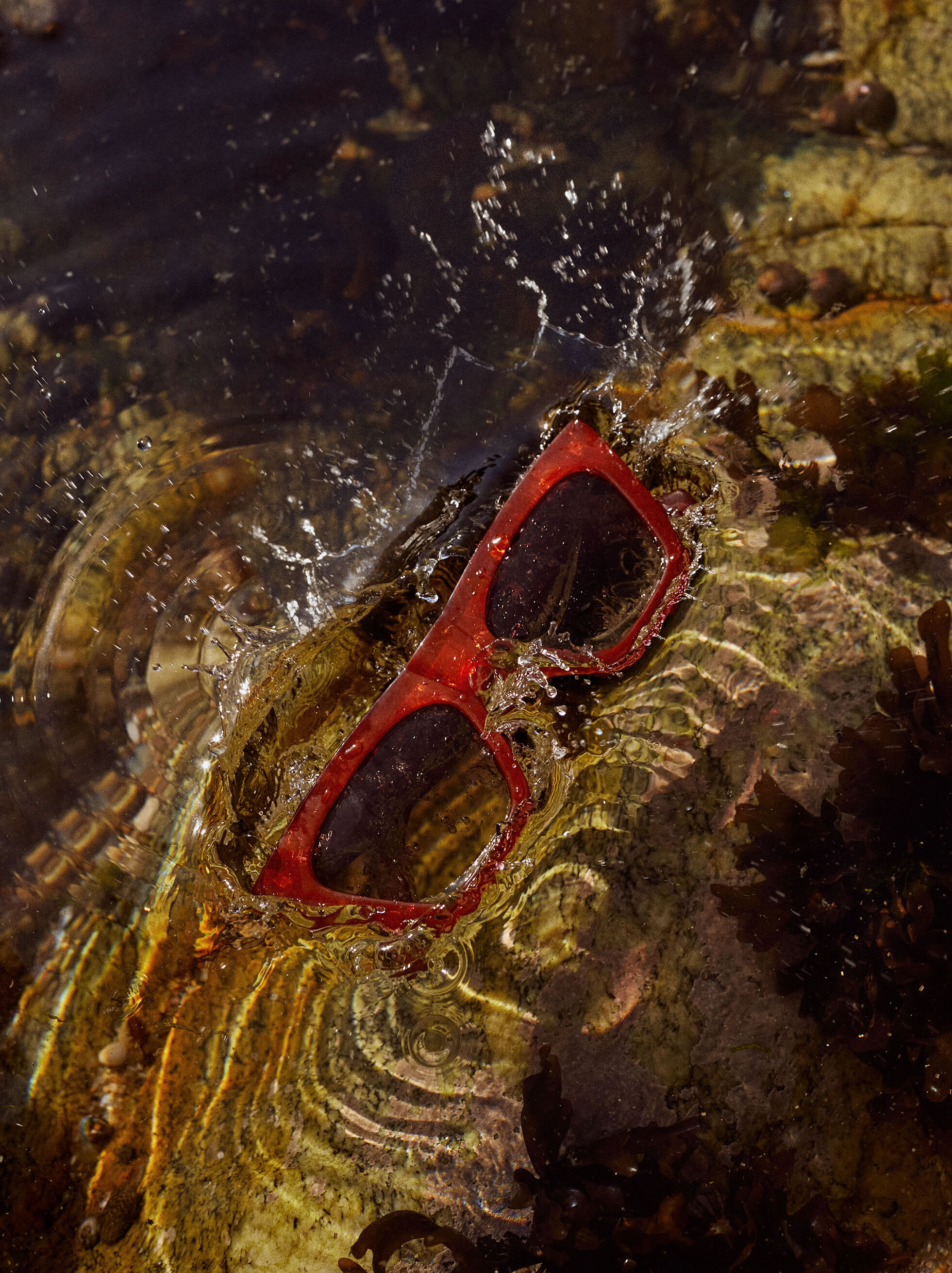 Cat eye sunglasses glasses Outlet