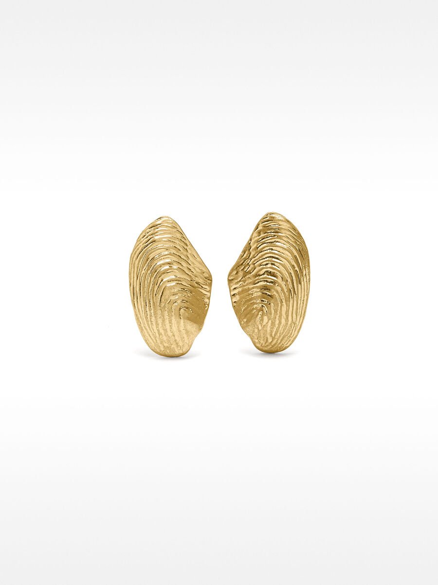 Mussel earrings