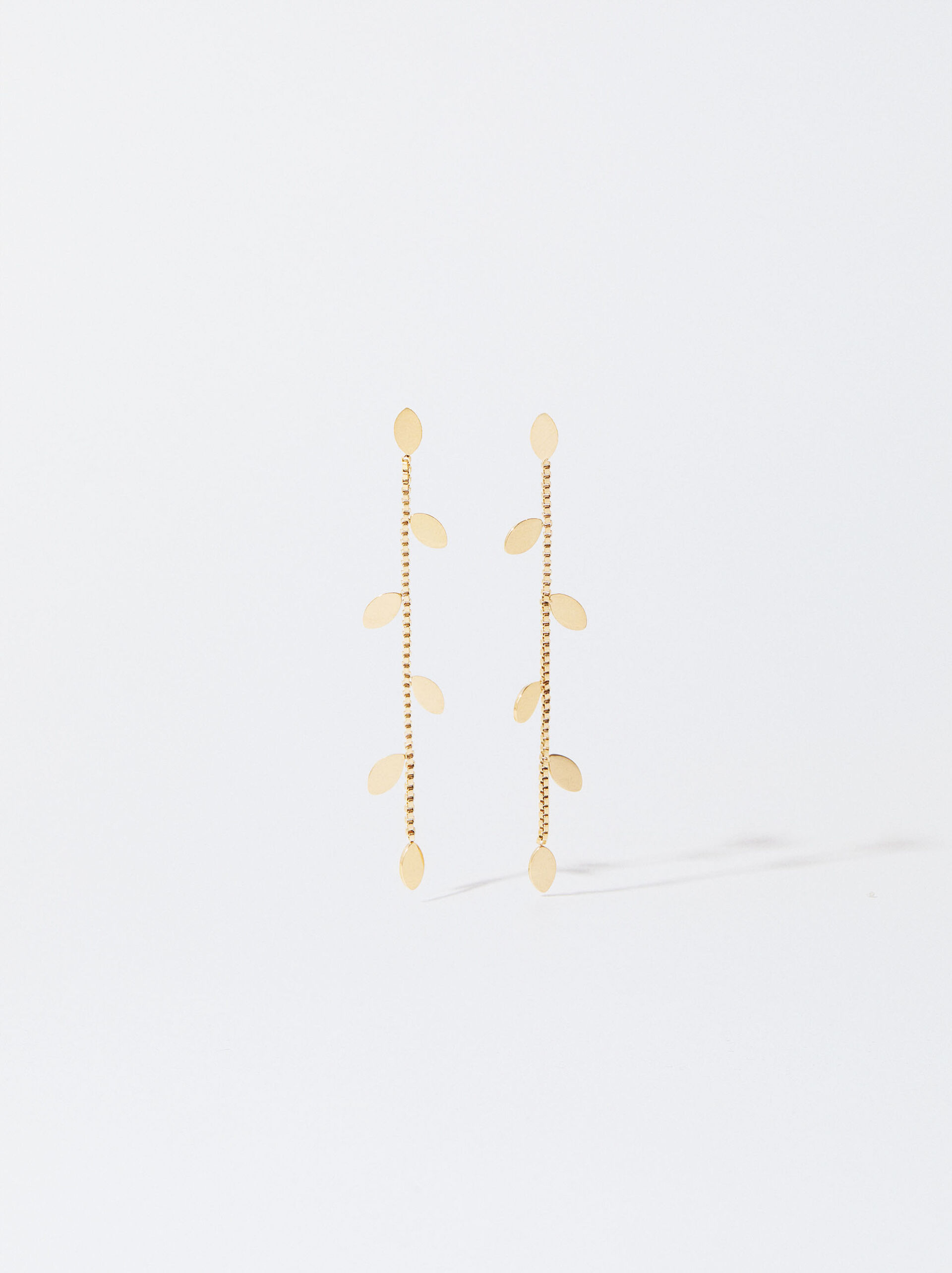 Golden Stainless Steel Earrings image number 0.0