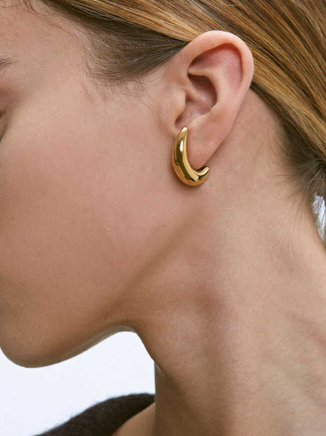 Golden Stainless Steel Earrings image number 1.0