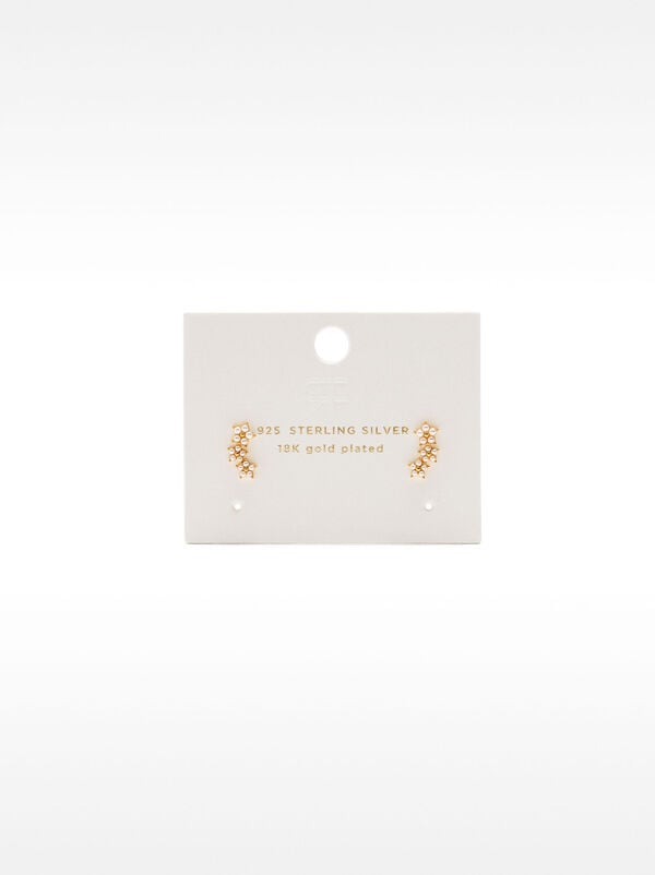 Earrings with zircons - 925 sterling silver