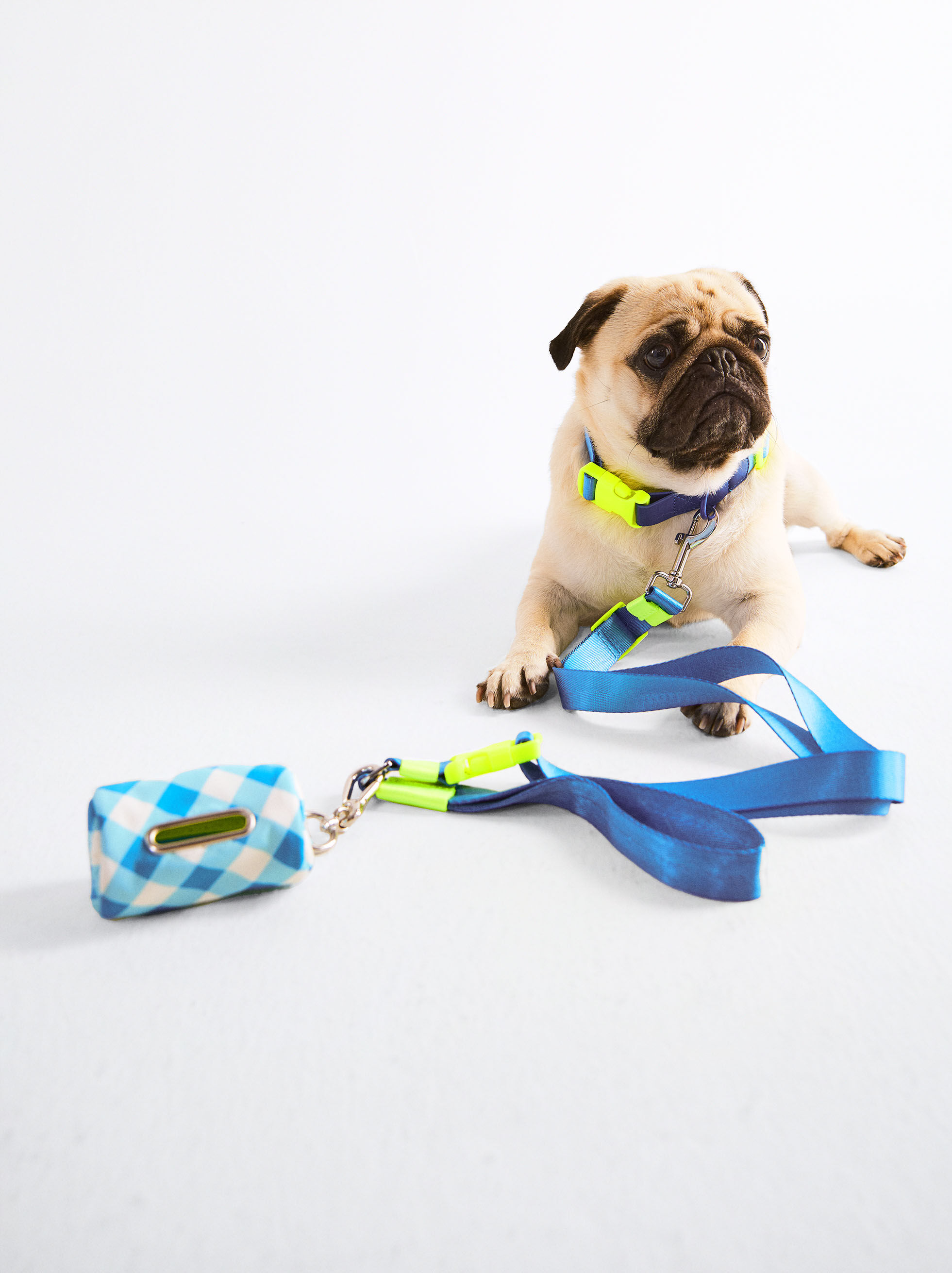 Personalised dog deals harness