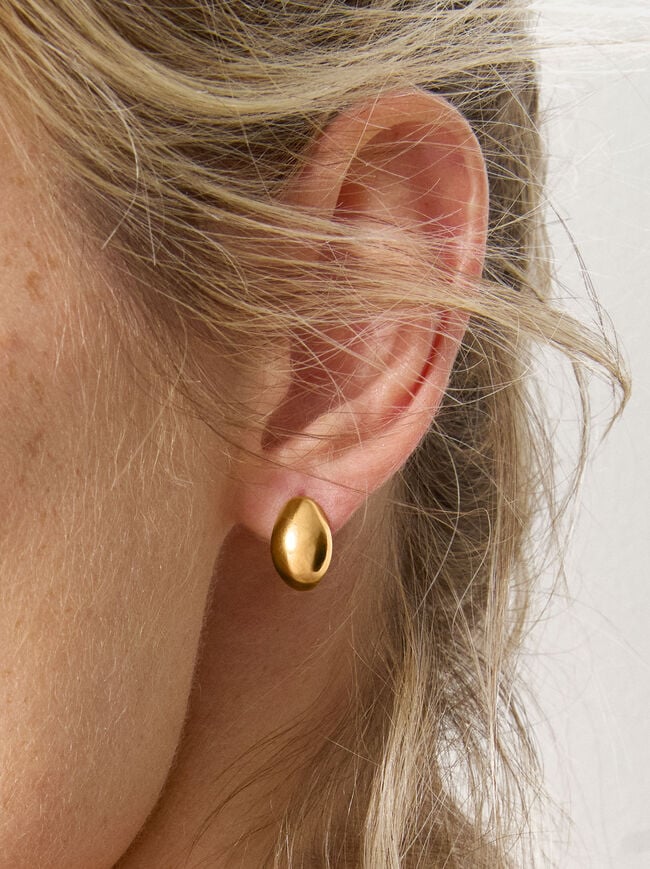 Golden Stainless Steel Earrings image number 1.0