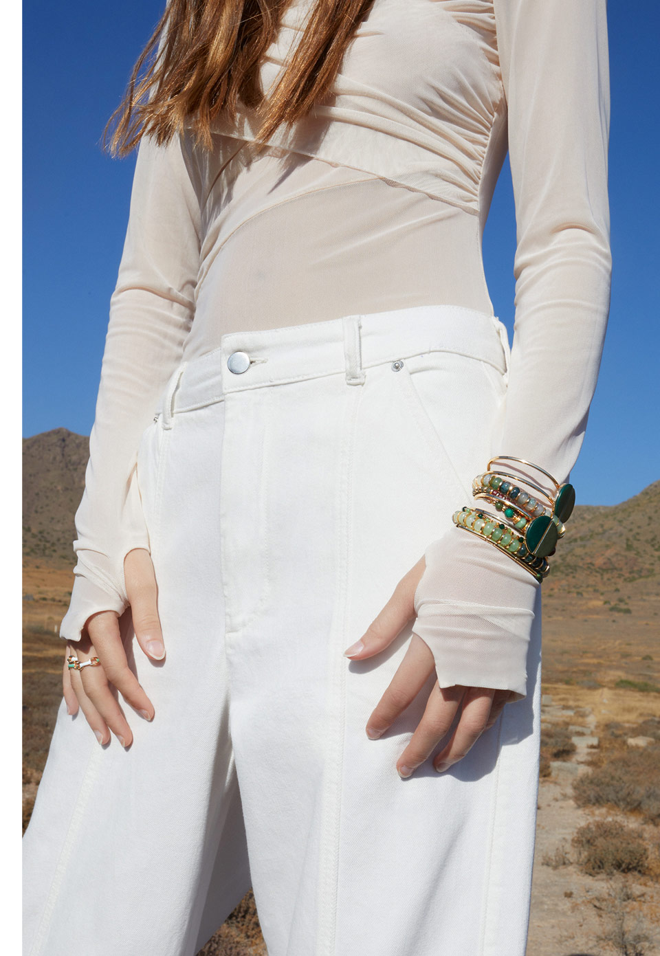 Desert Wind