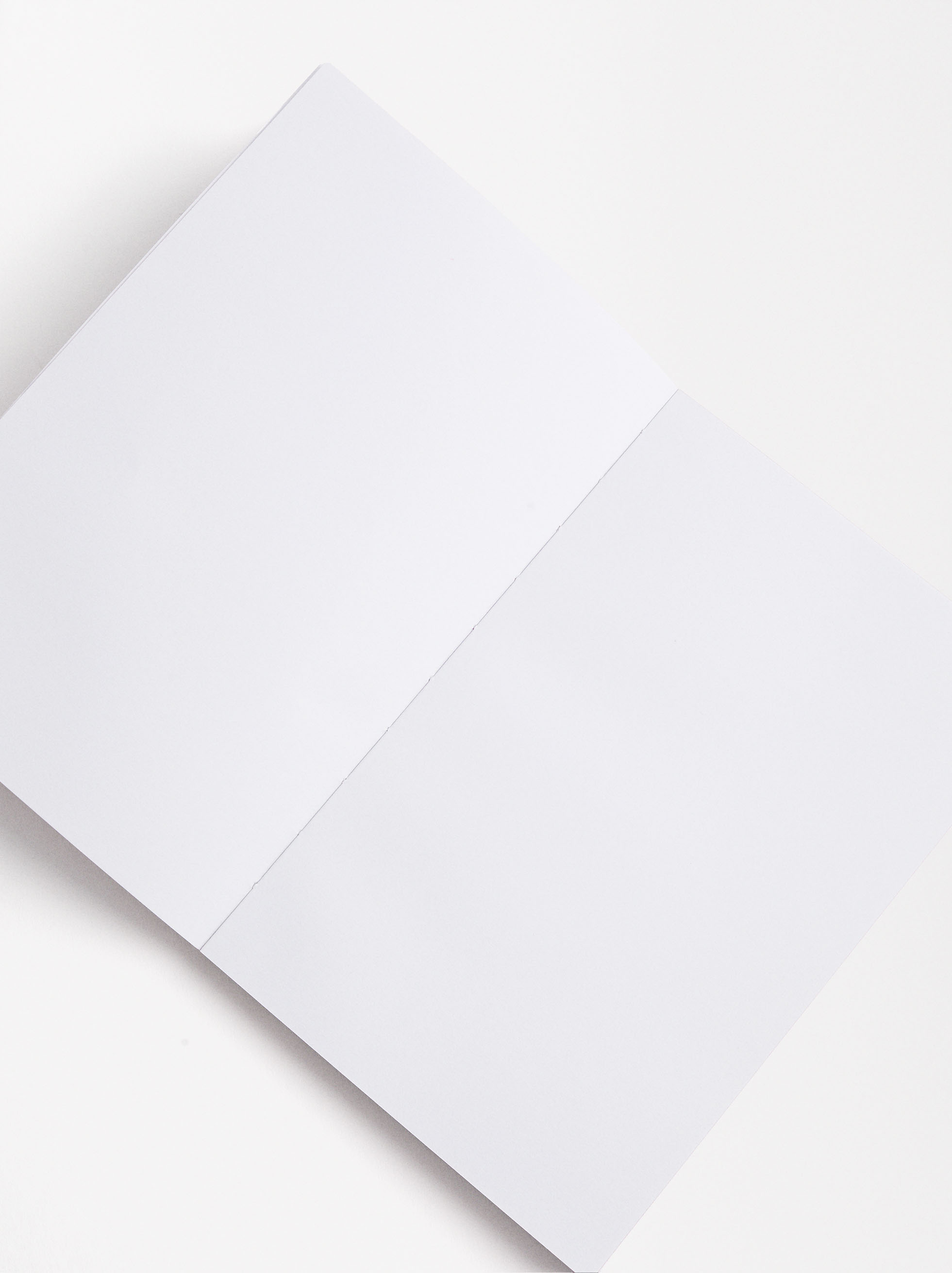 Printed notebook image number 3.0