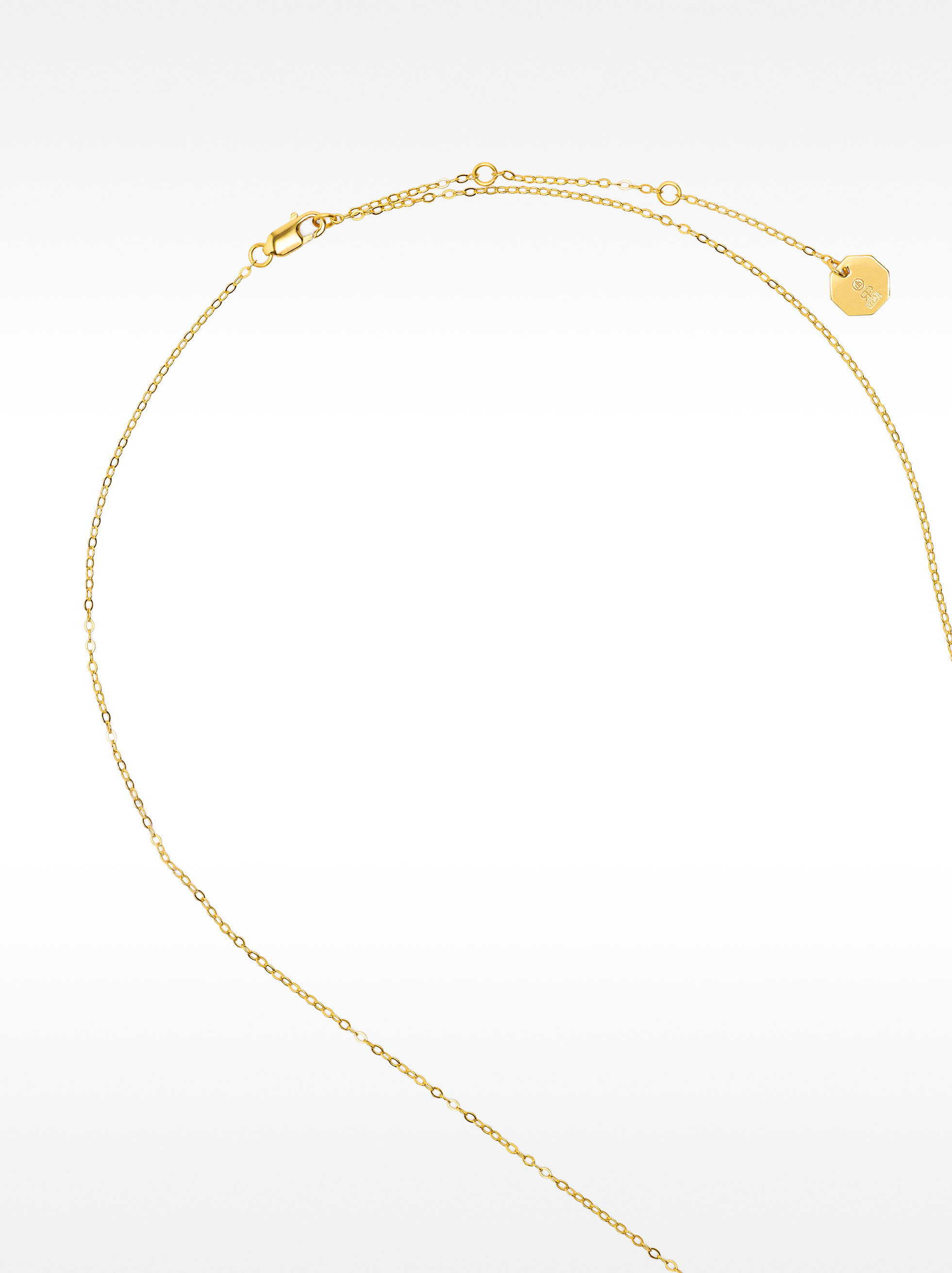 Collana con medaglia – argento sterling 925 image number 2.0