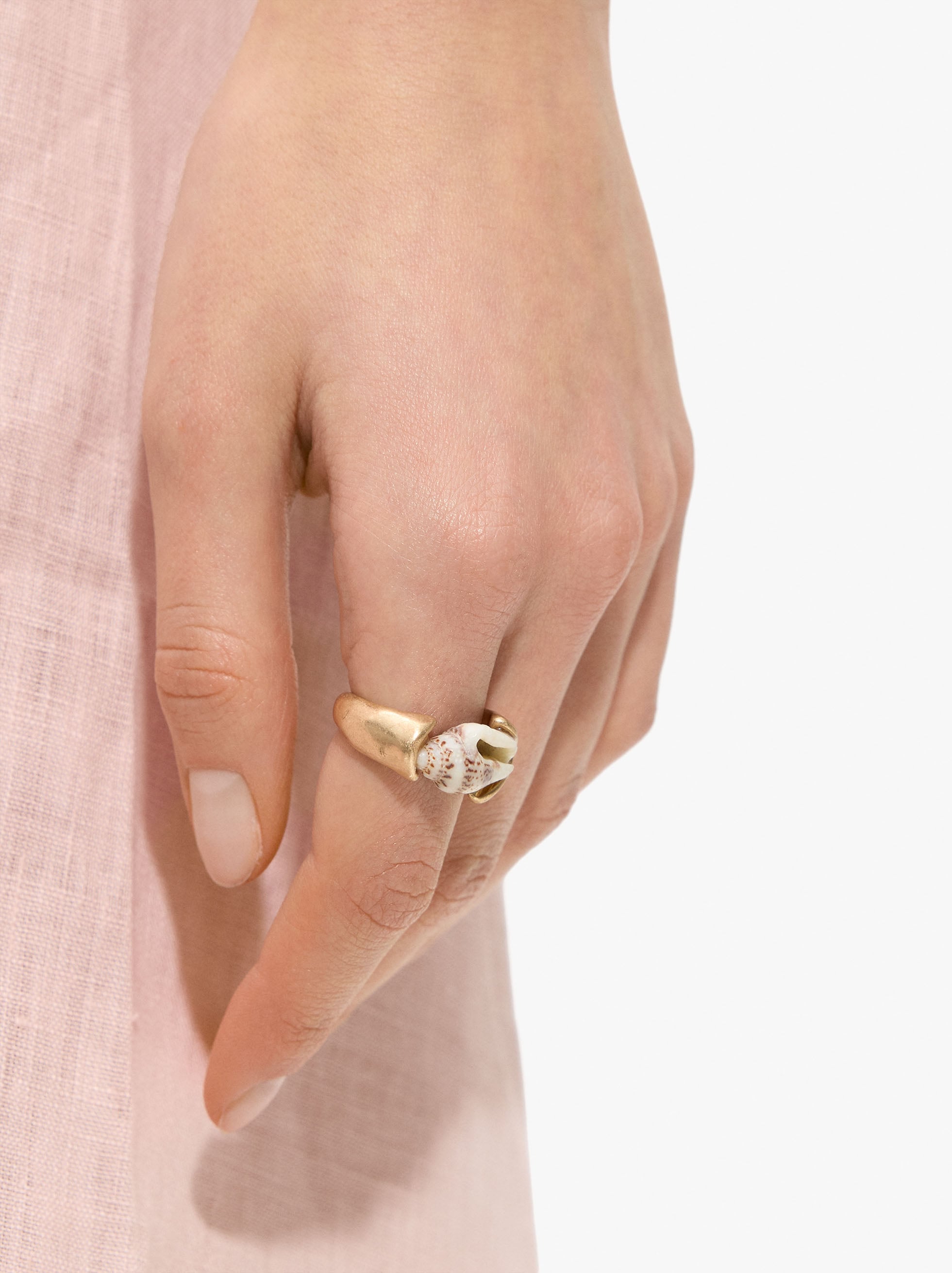 Ring with shell image number 1.0