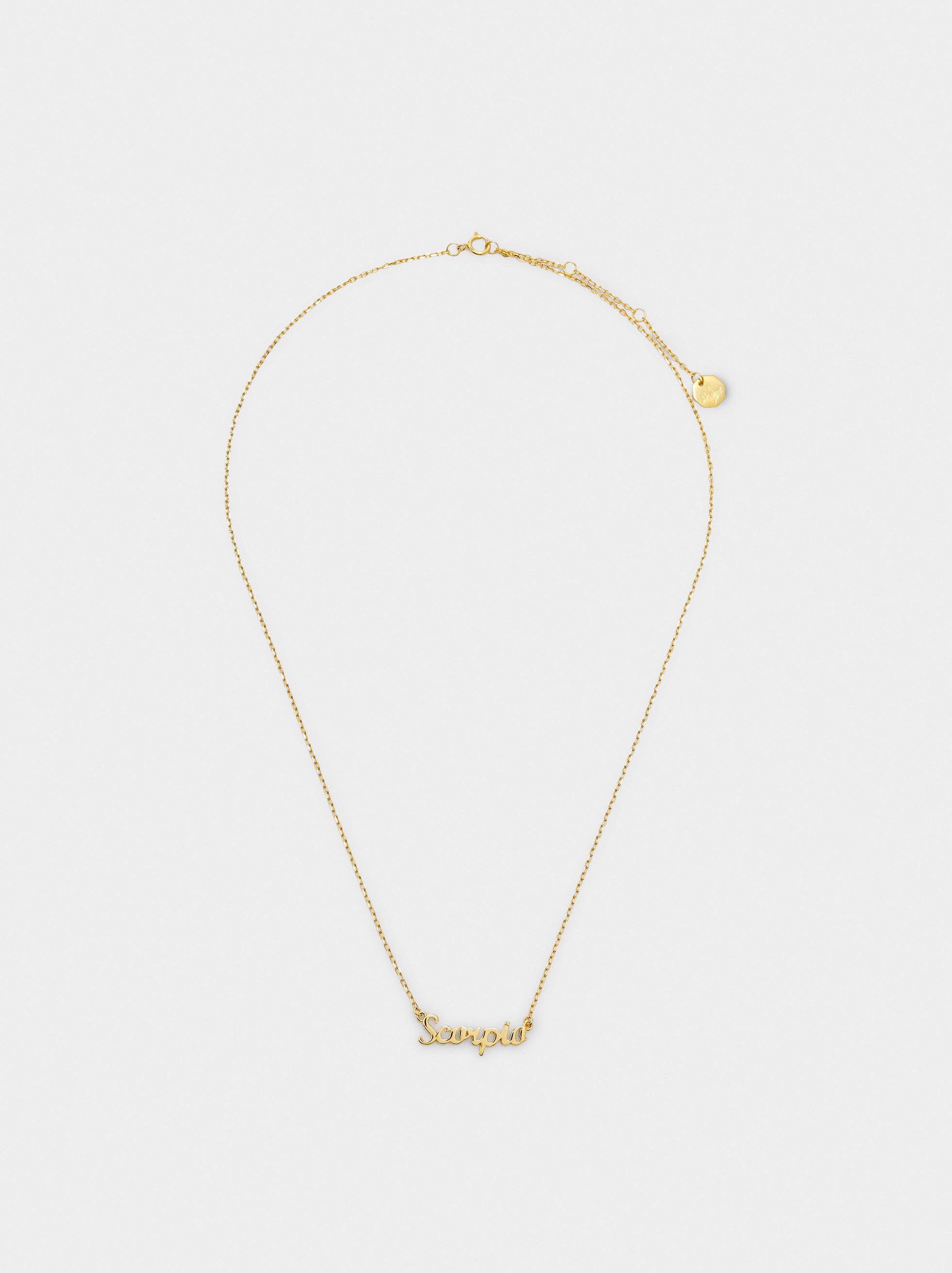 Necklace with zodiac sign LEO - 925 sterling silver image number 1.0