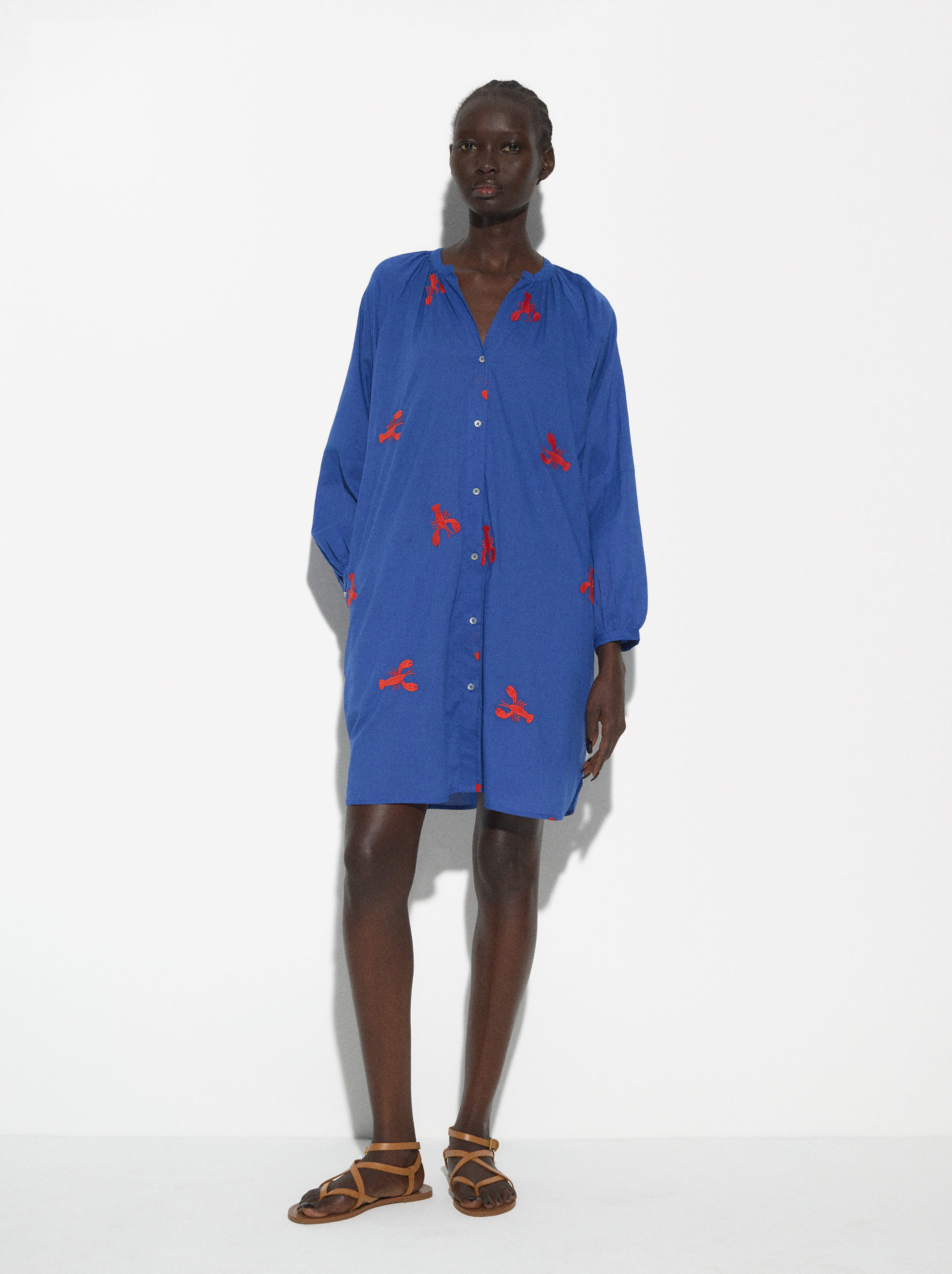 Embroidered dress short clearance