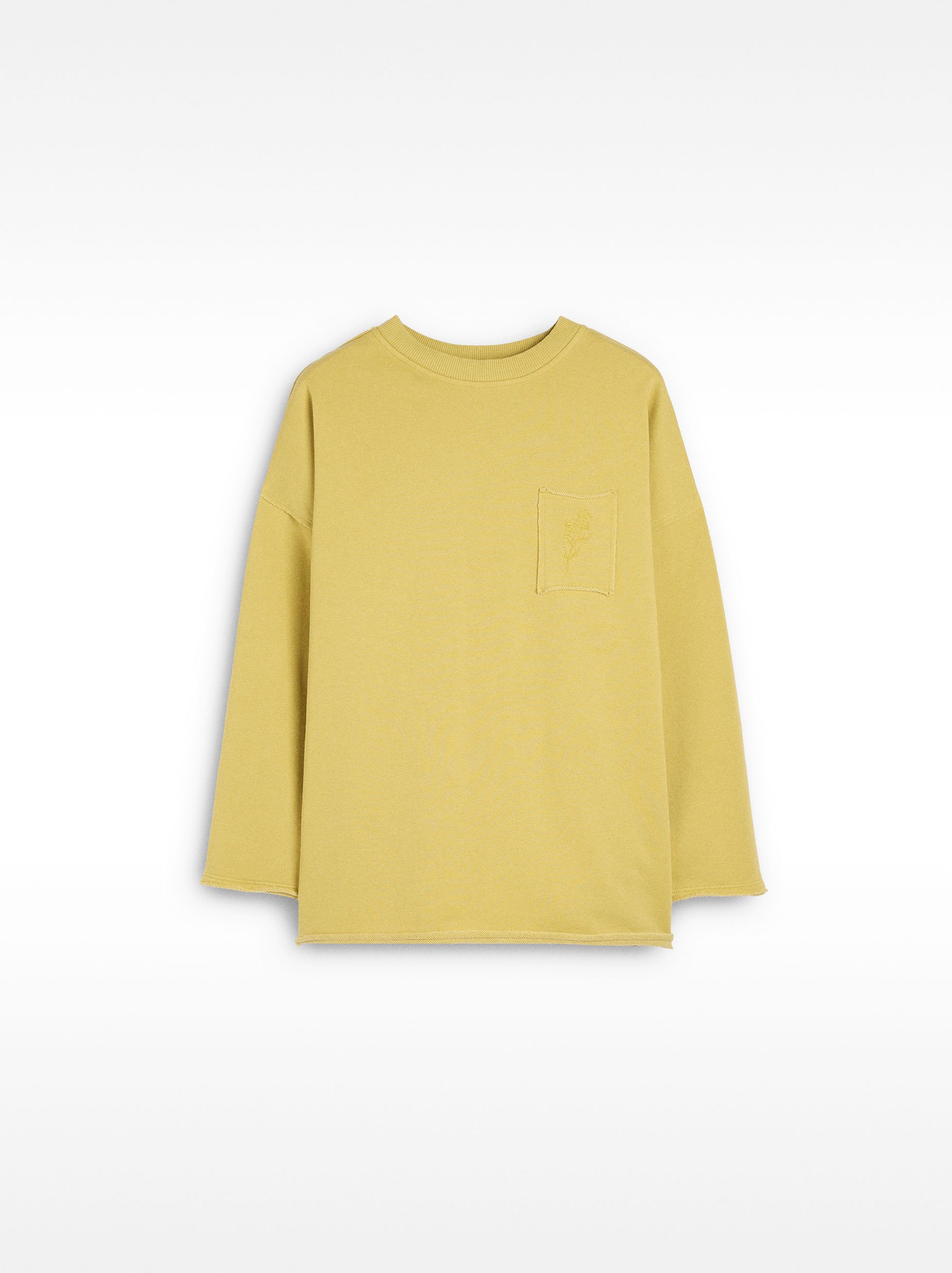 Sudadera con algodón y bordado image number 6.0