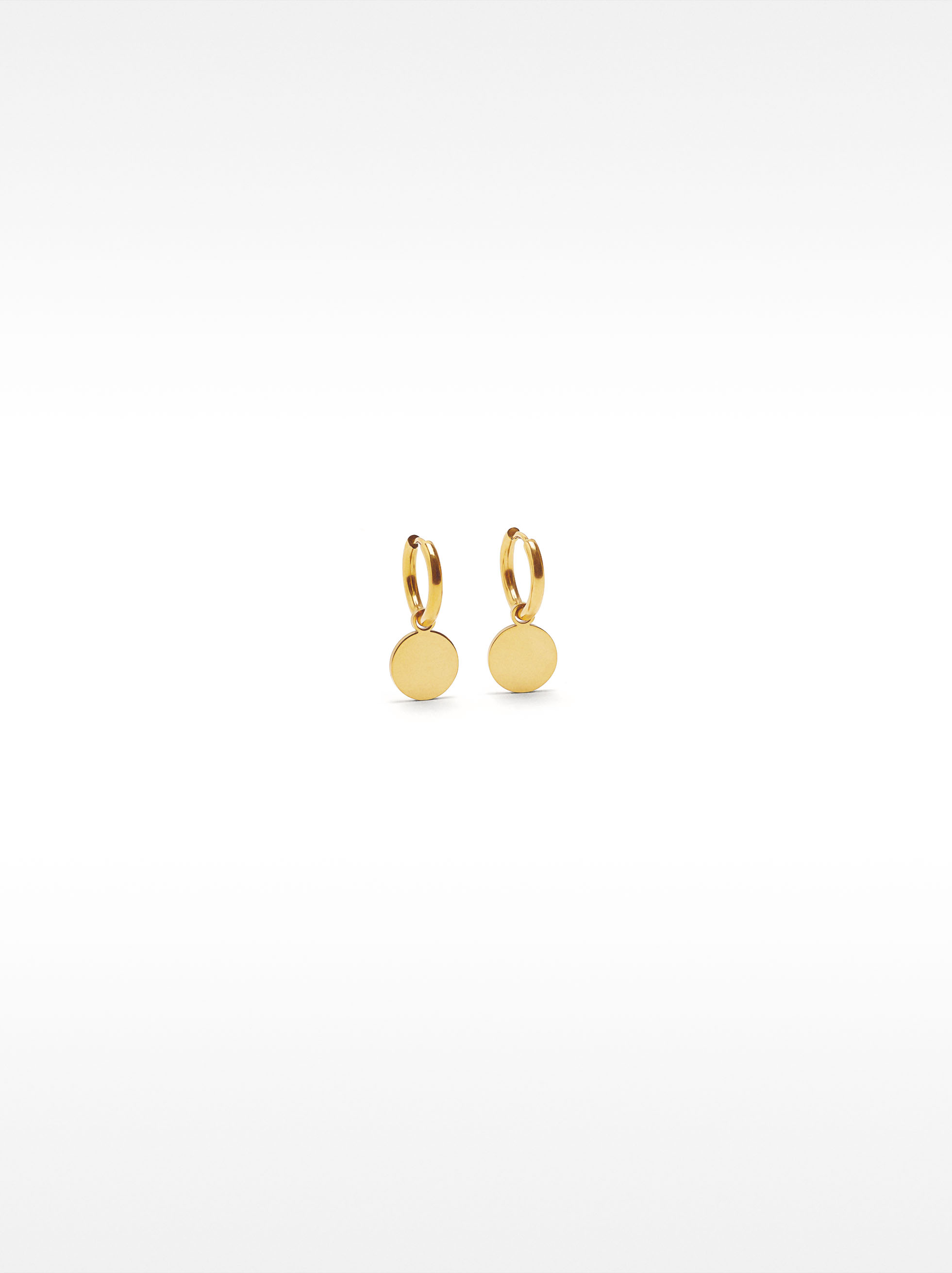 Hoop earrings with medalion - stainless steel image number 0.0