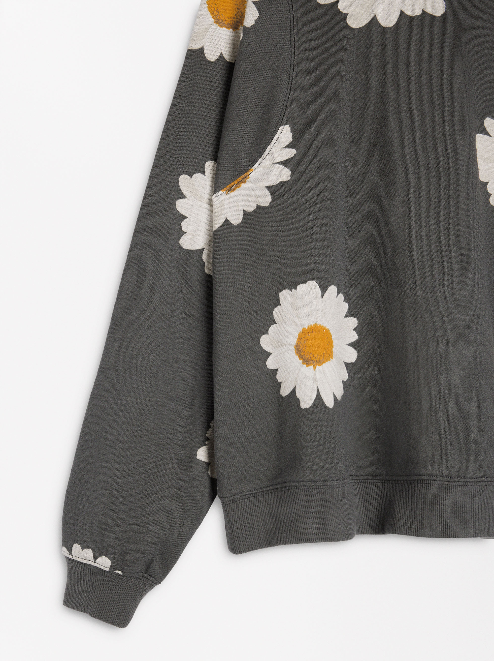 Daisy print sweatshirt image number 6.0